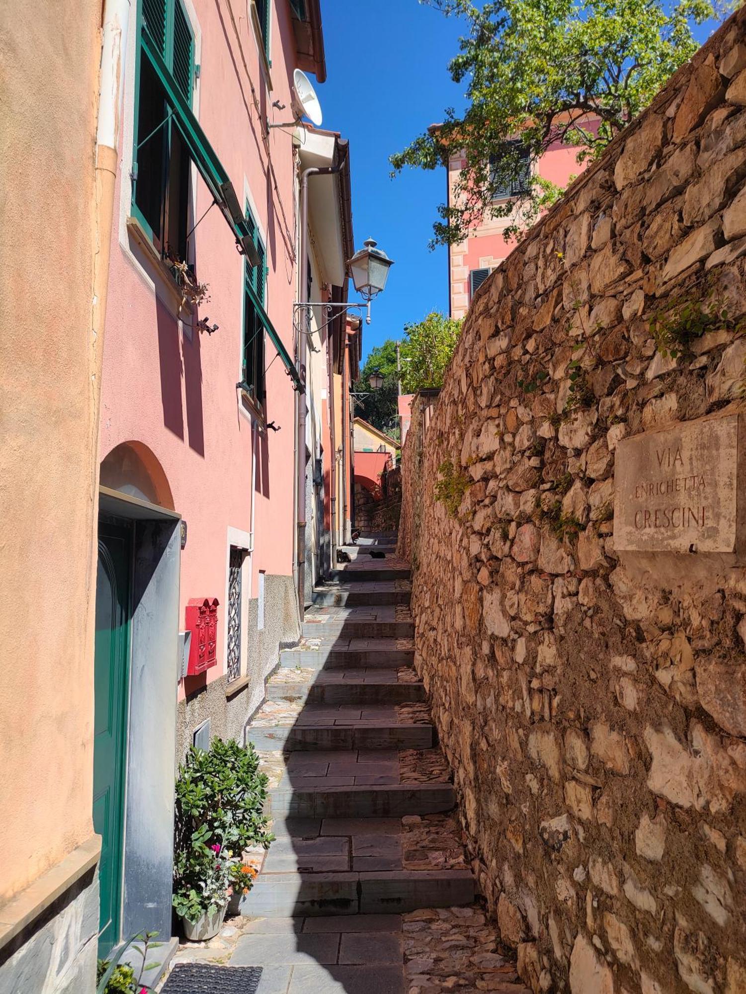 Camera Tra Le Cinque Terre, Camogli E Portofino. Vista Valle E Scorcio Mare All'Orizzonte Castiglione Chiavarese Kültér fotó