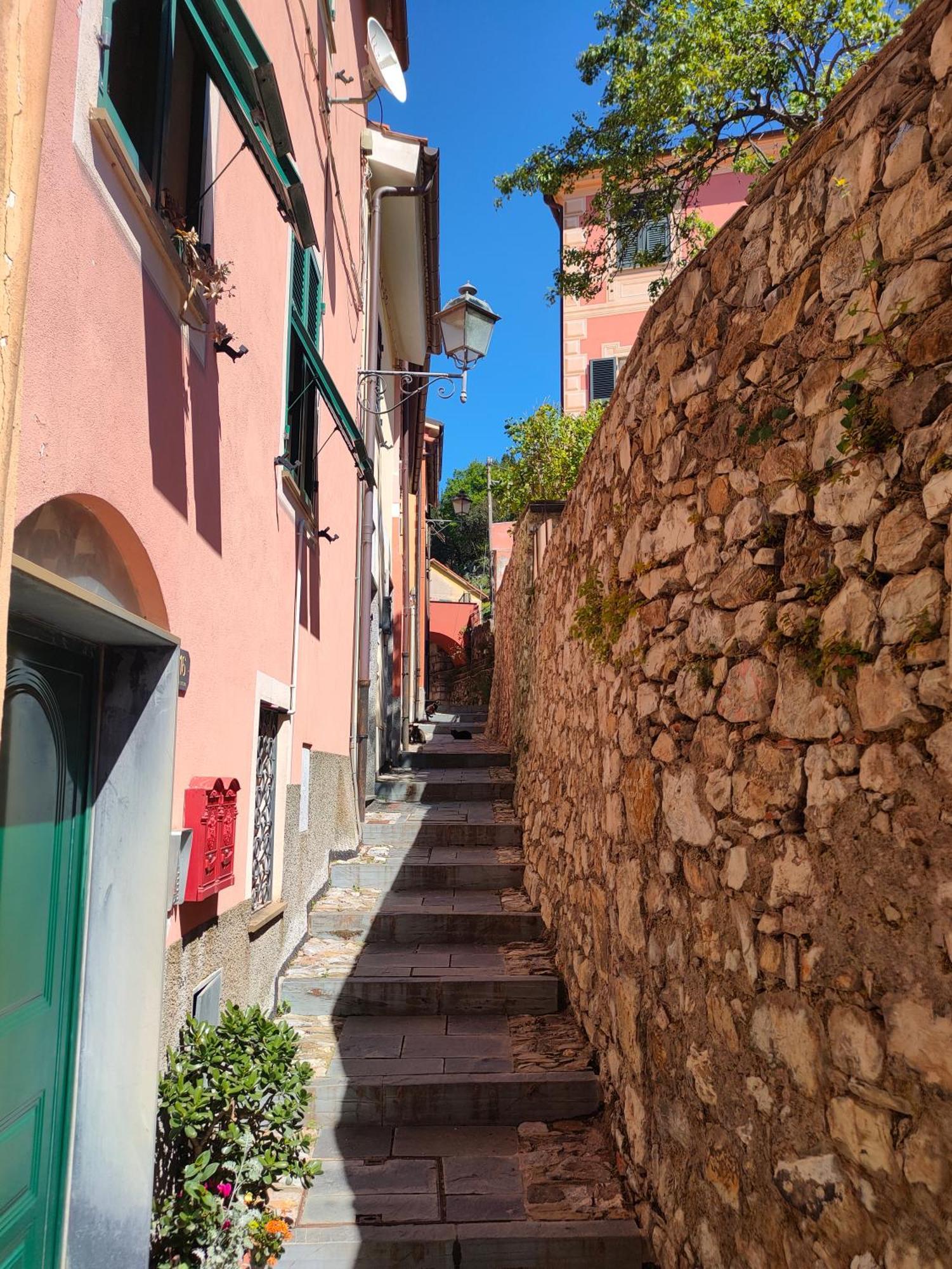 Camera Tra Le Cinque Terre, Camogli E Portofino. Vista Valle E Scorcio Mare All'Orizzonte Castiglione Chiavarese Kültér fotó